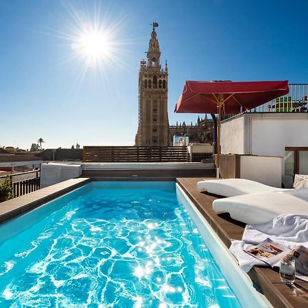 Cathedral Luxury Studio, Swimming Pool And Cathedral Views Sevilla Exteriör bild